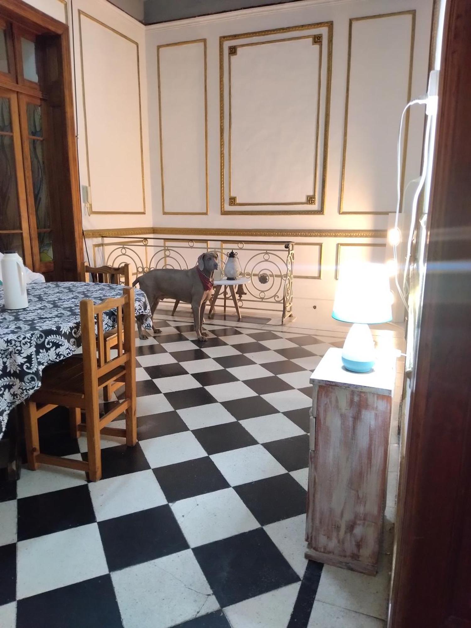 Dante Y Compania Hostel Buenos Aires Buitenkant foto